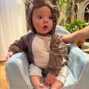 Hedgehog costume